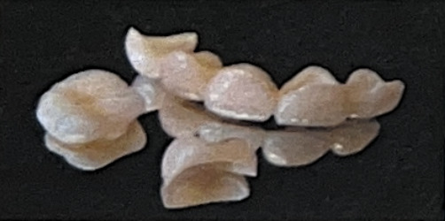 ジルコニア冠クリア